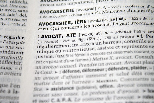 Le rôle des tribunaux dans l'administration de la justice